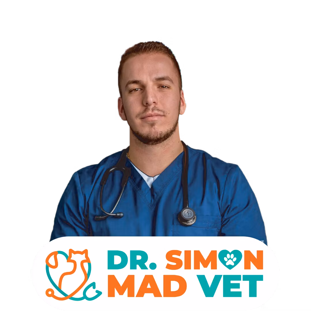 Vet Simon