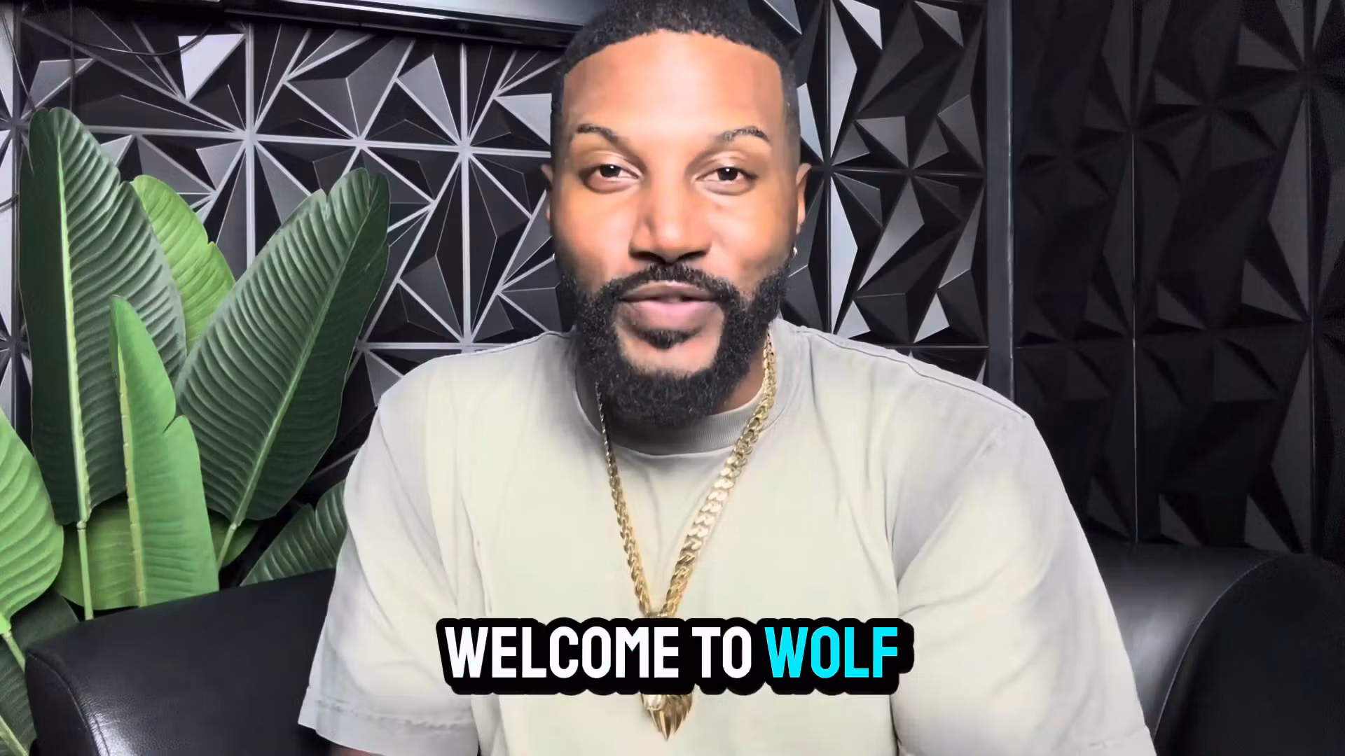 Wolves of Real Estate