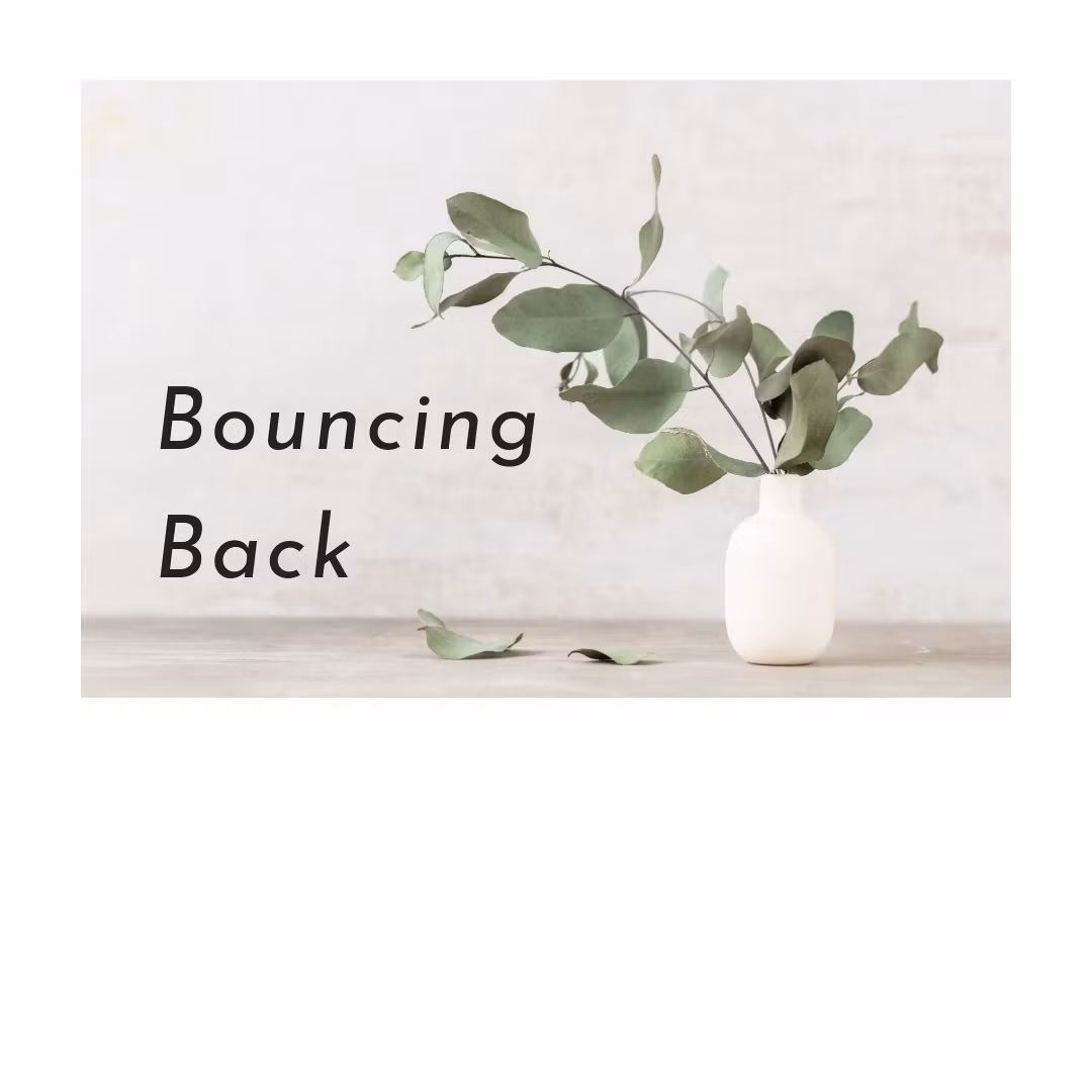 Bouncing Back