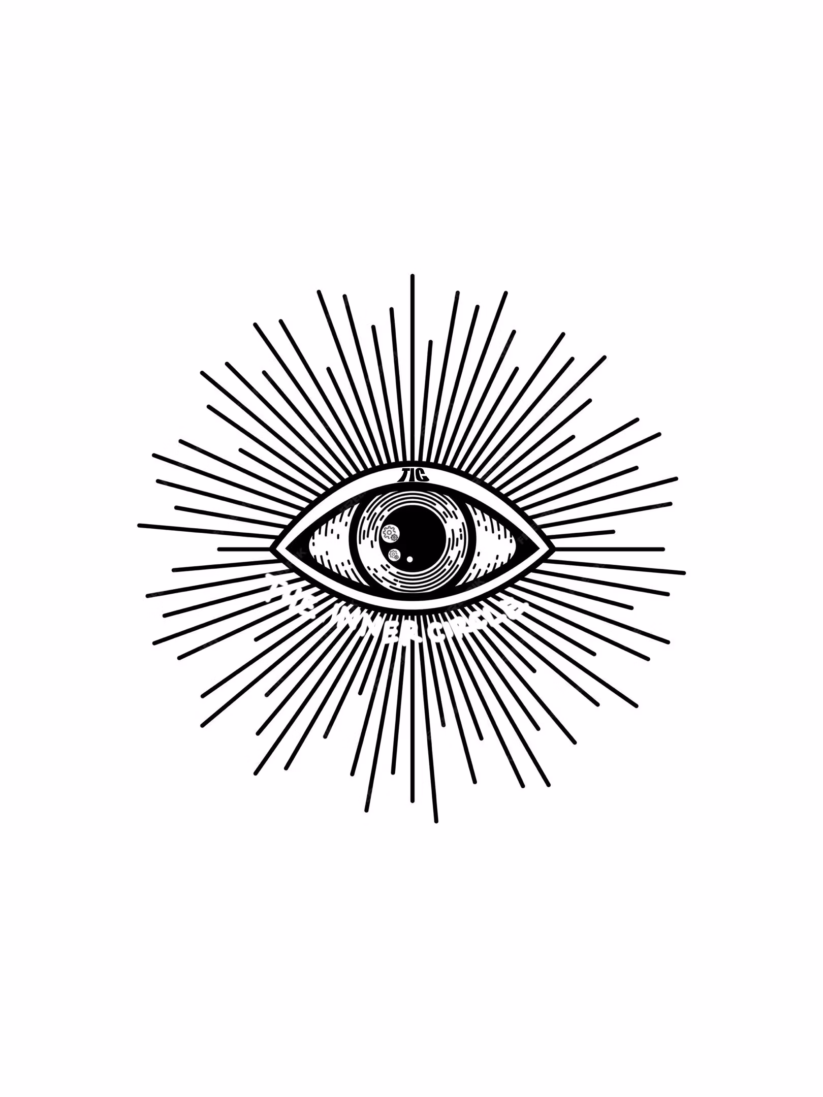 Mentor Ship & Live Trading