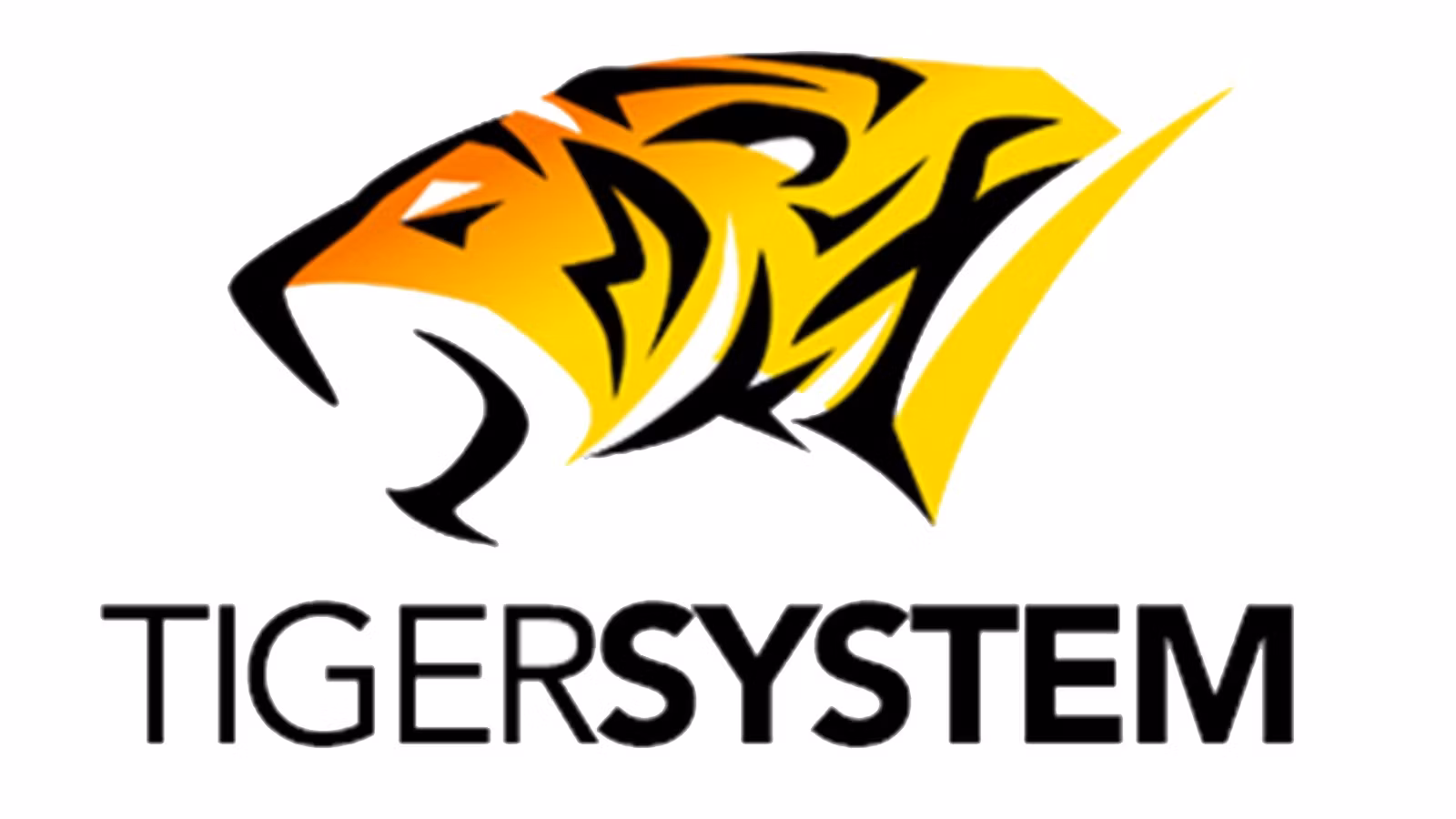 TIGER SYSTEM