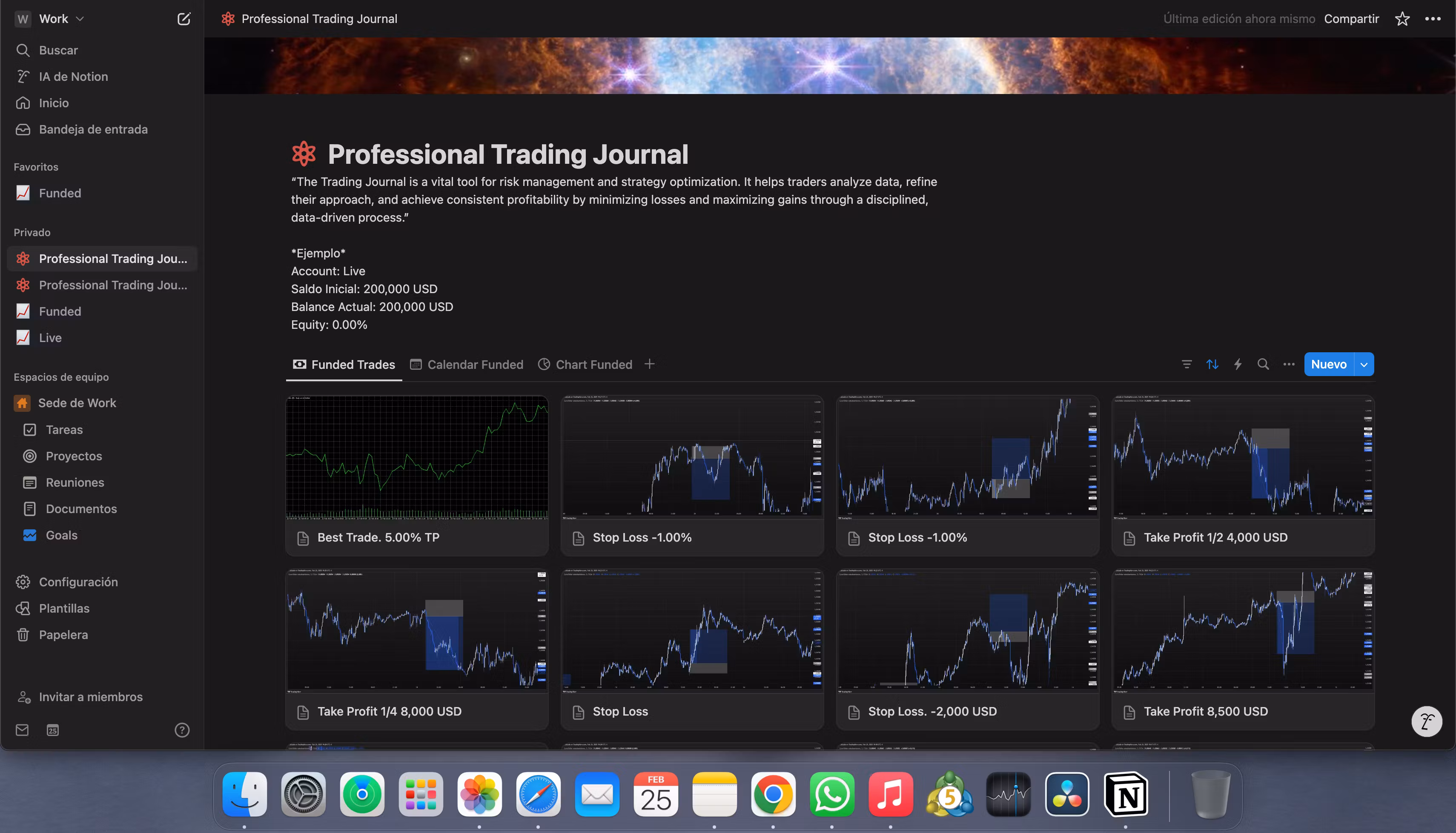Professional Trading Journal