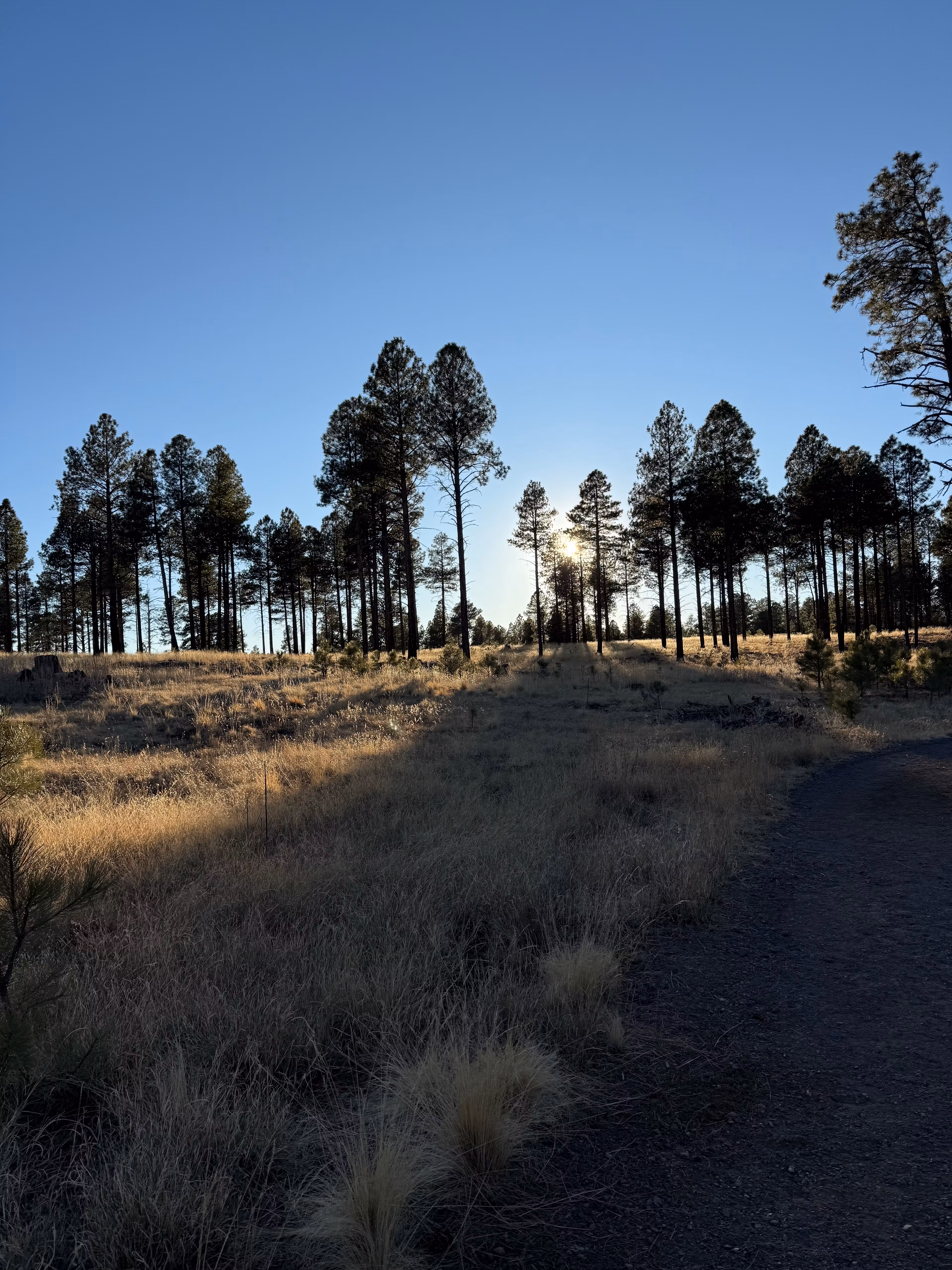 HorizonGlobalServices