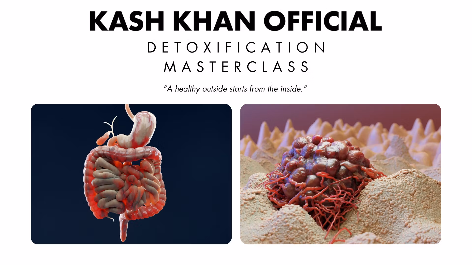 Detoxification Masterclass