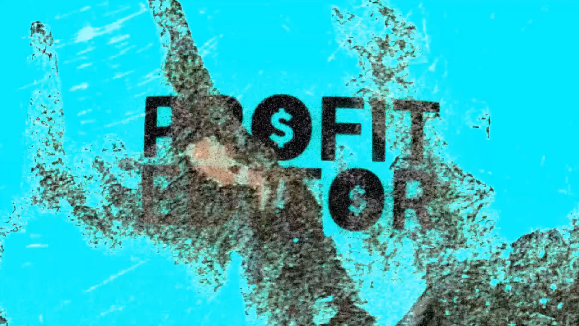 Profit Editor Free Access