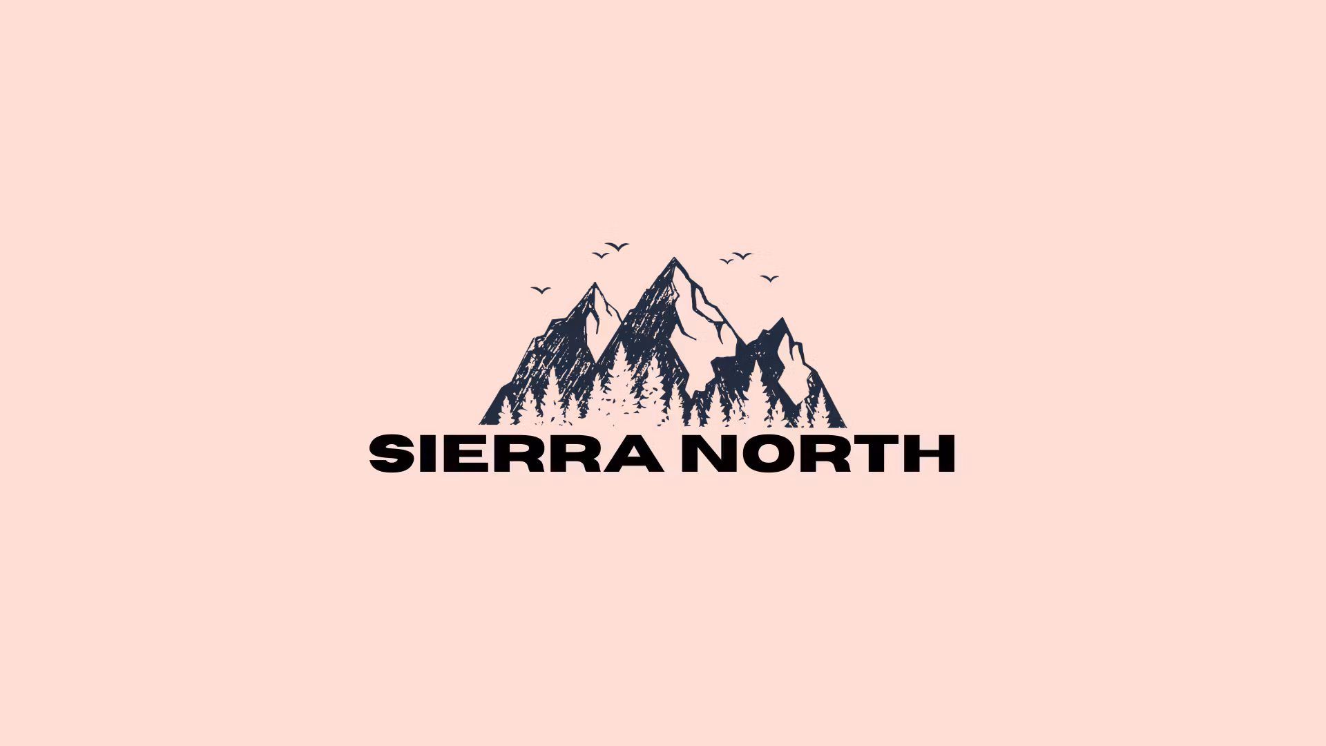 Sierra North Collective (Team)