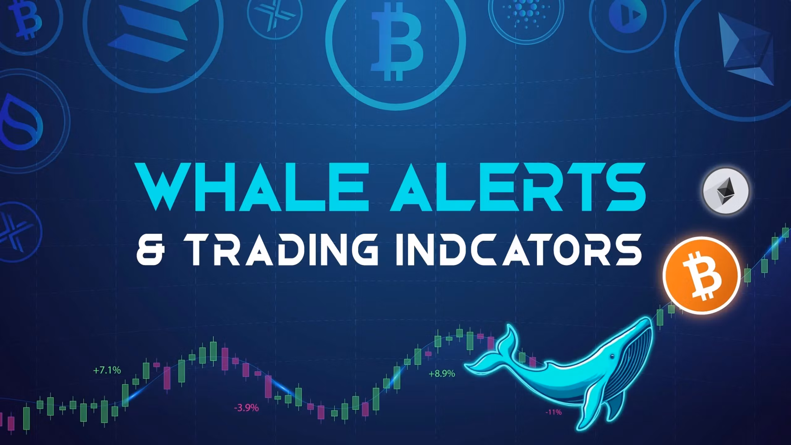 Whale Alerts & Indicators FREE