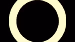 2025 YEAR ROUND MENTORSHIP