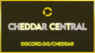 Cheddar Exclusive