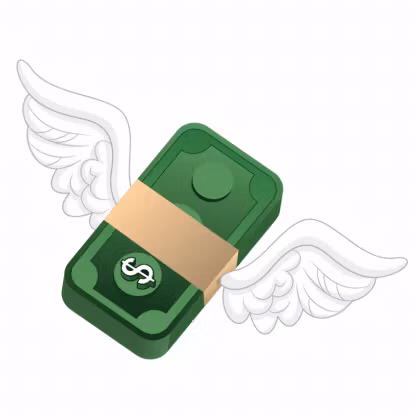 The Digital Millionaire