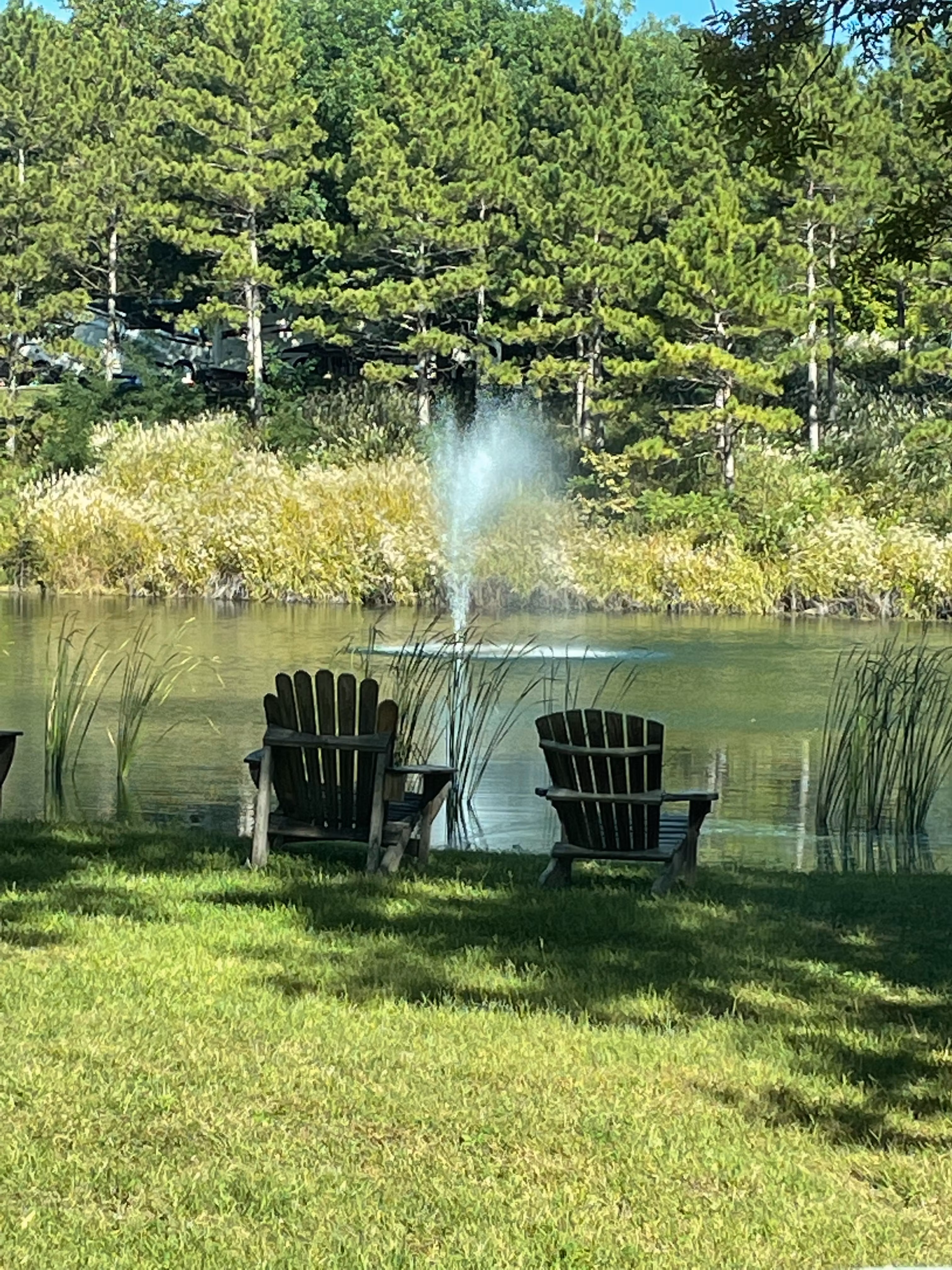 Tap Into Success Now!