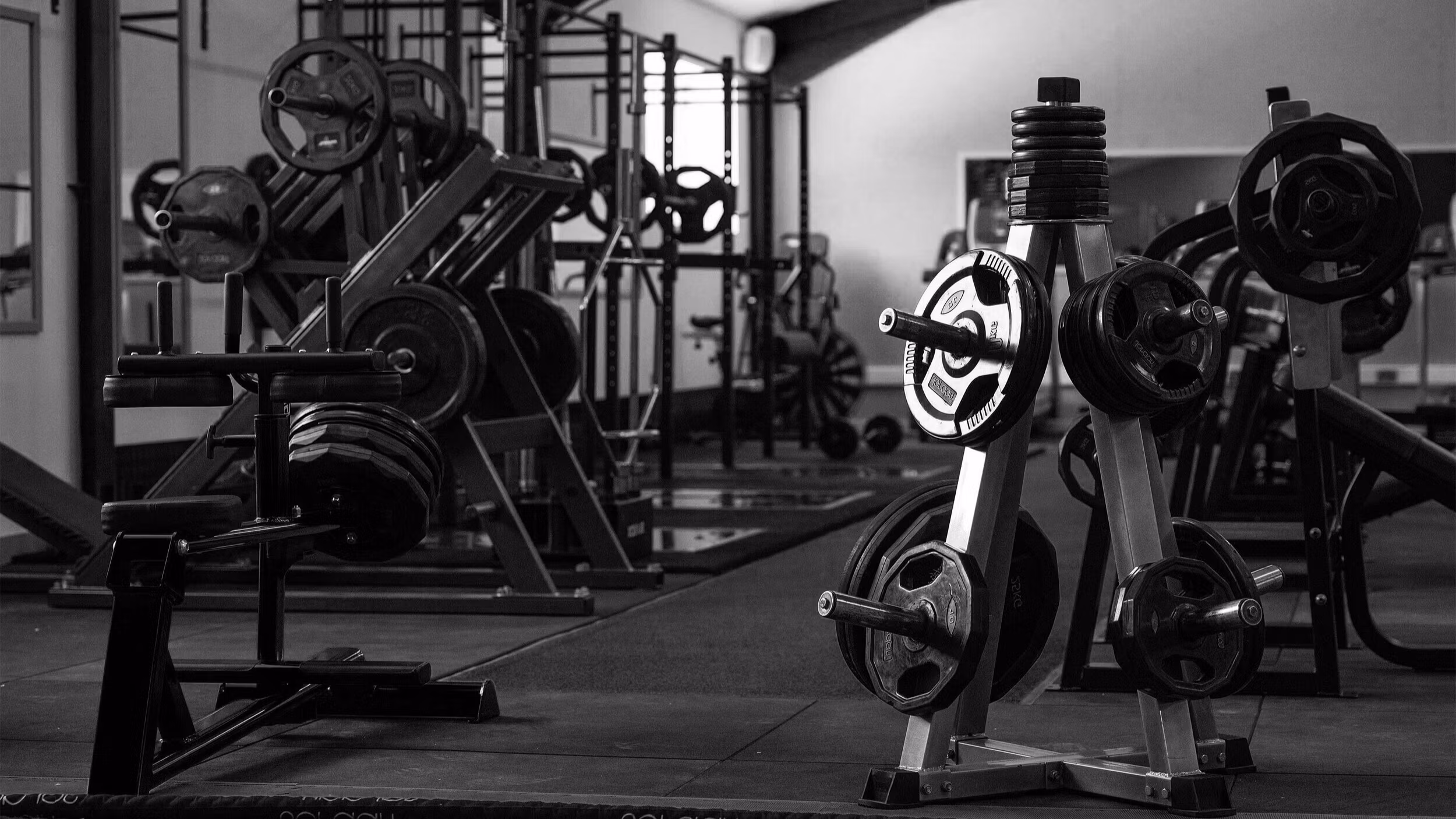 Training and Diet coach