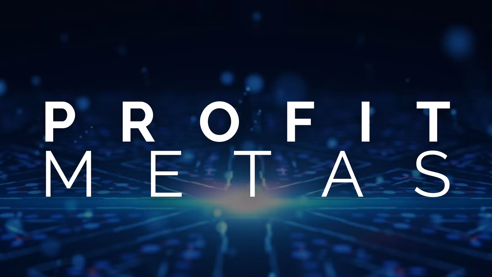 PROFIT METAS