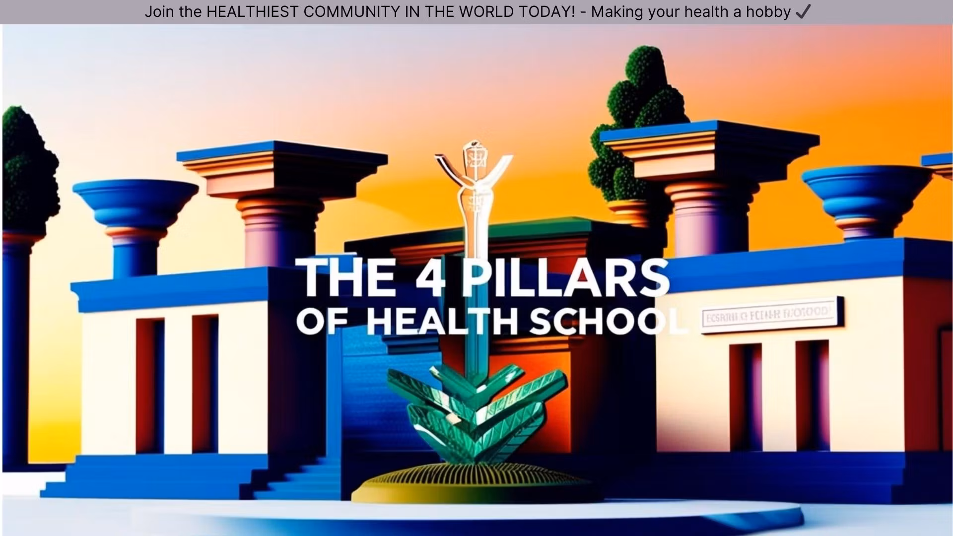 The 4 Pillars of Health School