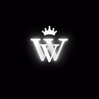 WealthVisonary Academy