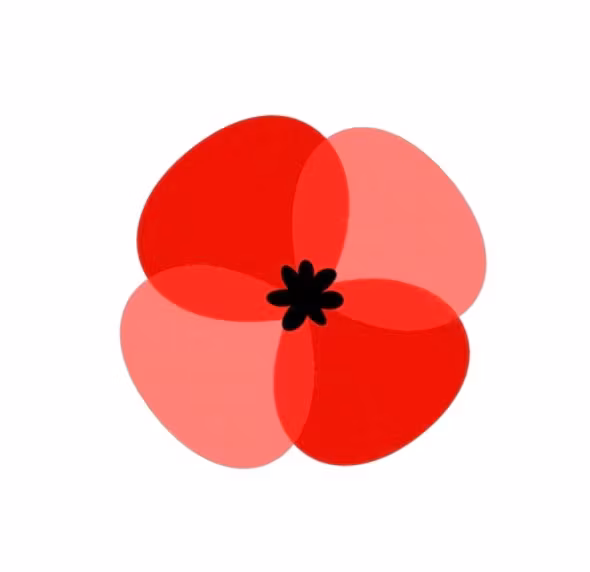 Tall Poppy University