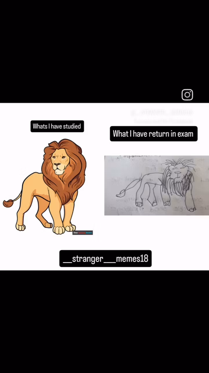 Stranger memes