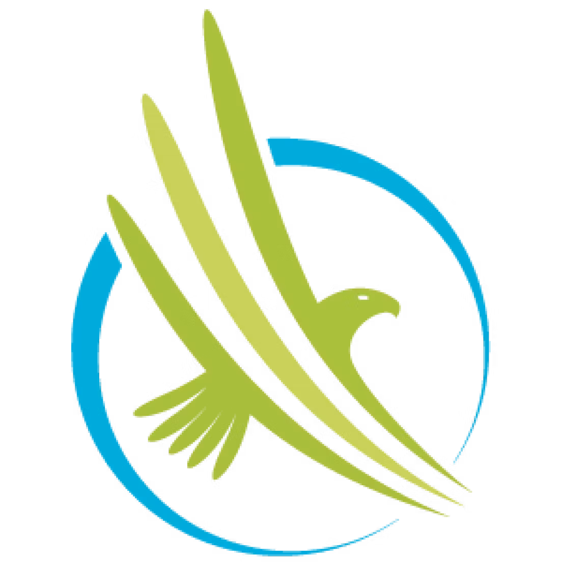 Fiction Profits Academy - MT