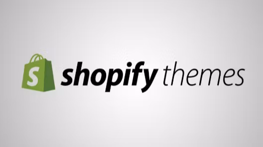 Premium Shopify Themes