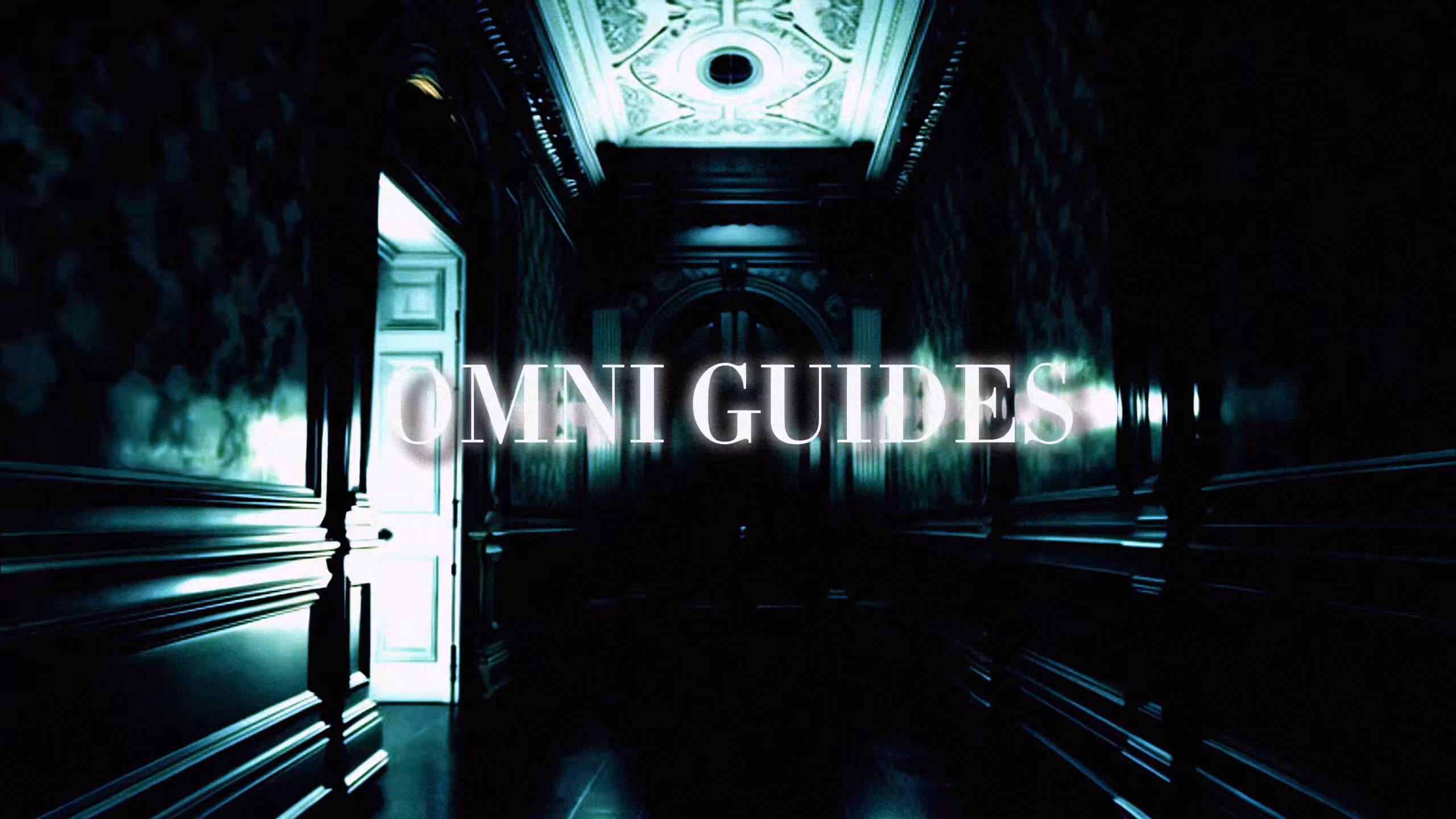 OMNI GUIDES