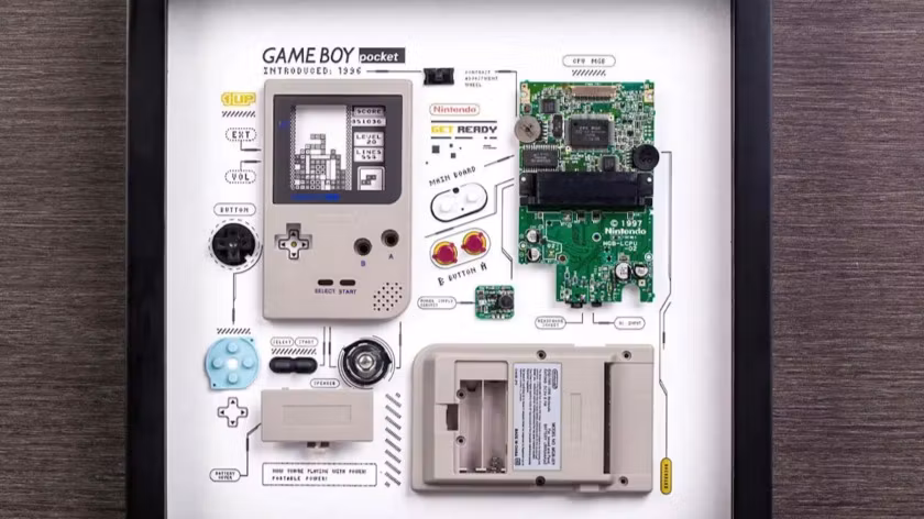 Game Central Society