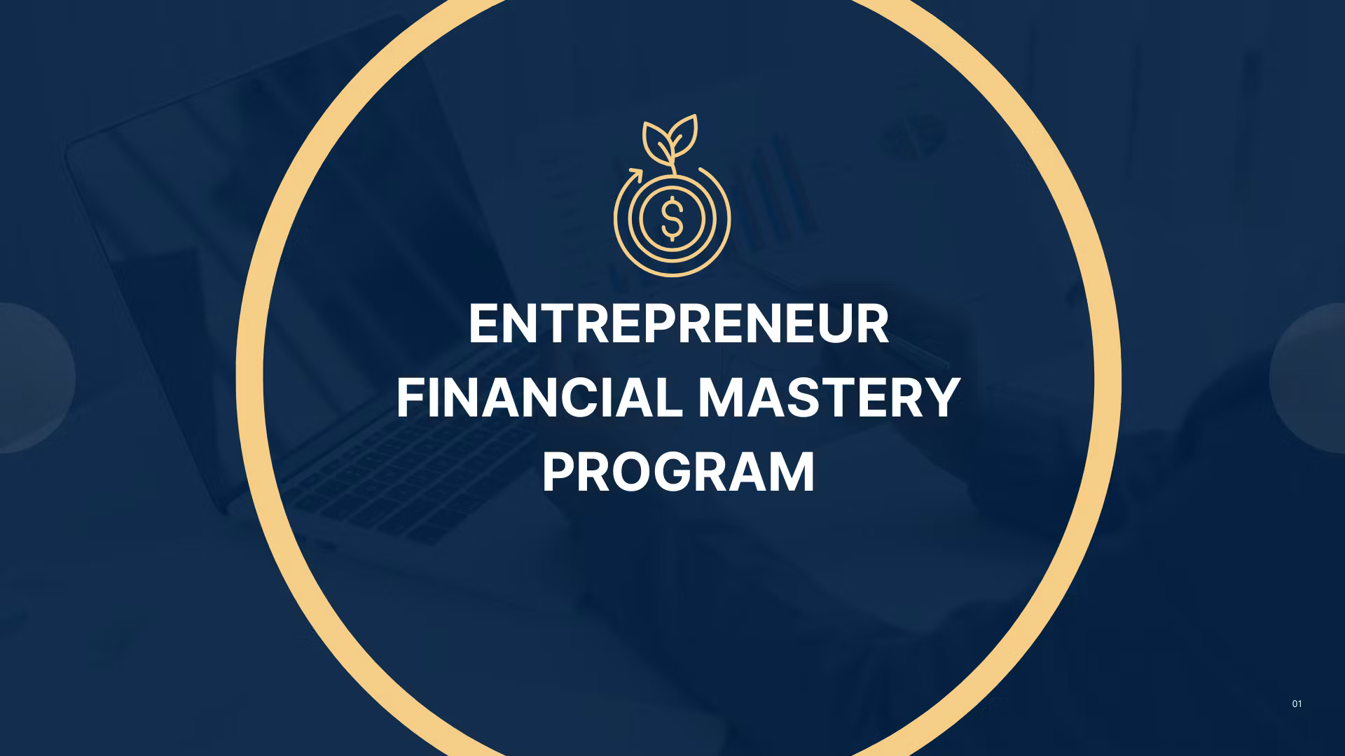 Entrepreneur Financial Mastery Program 
