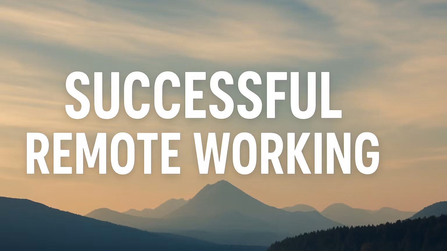 Successful Remote Working
