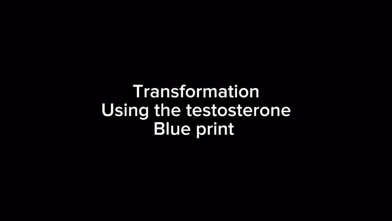 Testosterone Blueprint