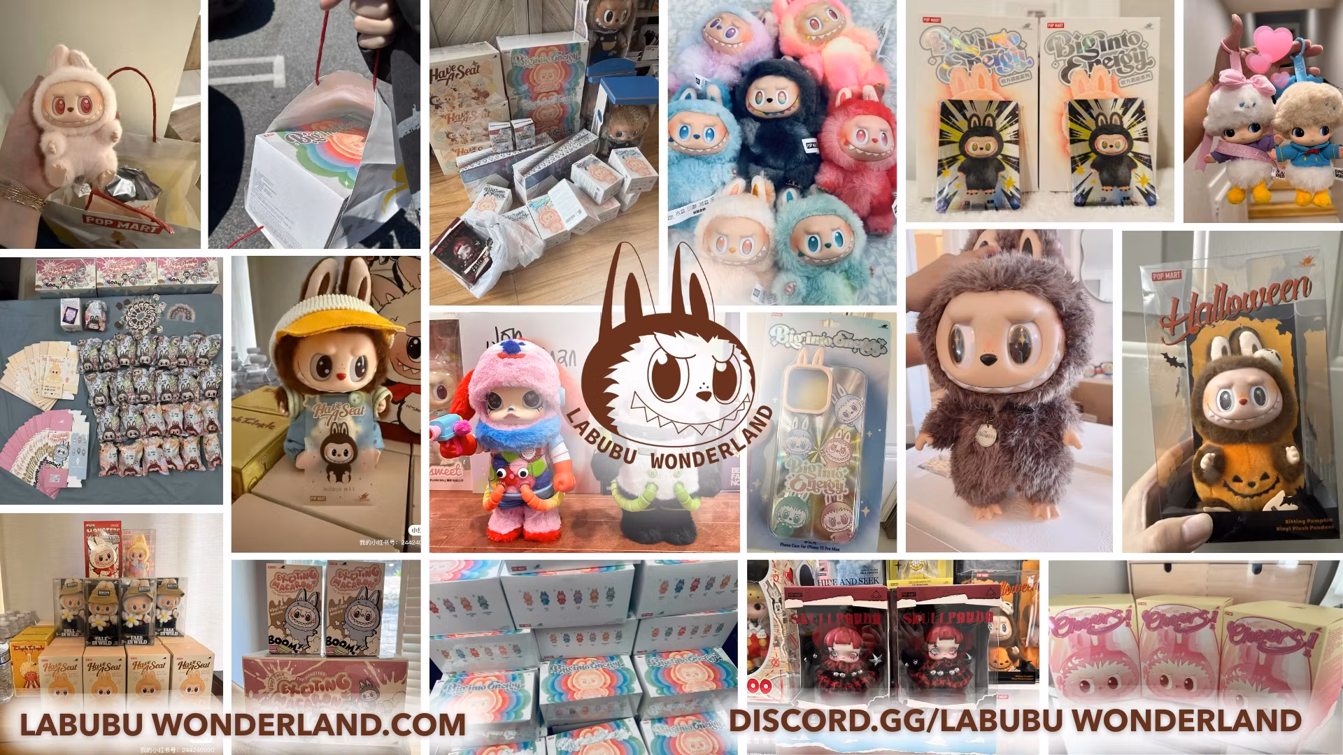 Pop Mart Labubu Wonderland