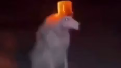 Constantine's personal whop