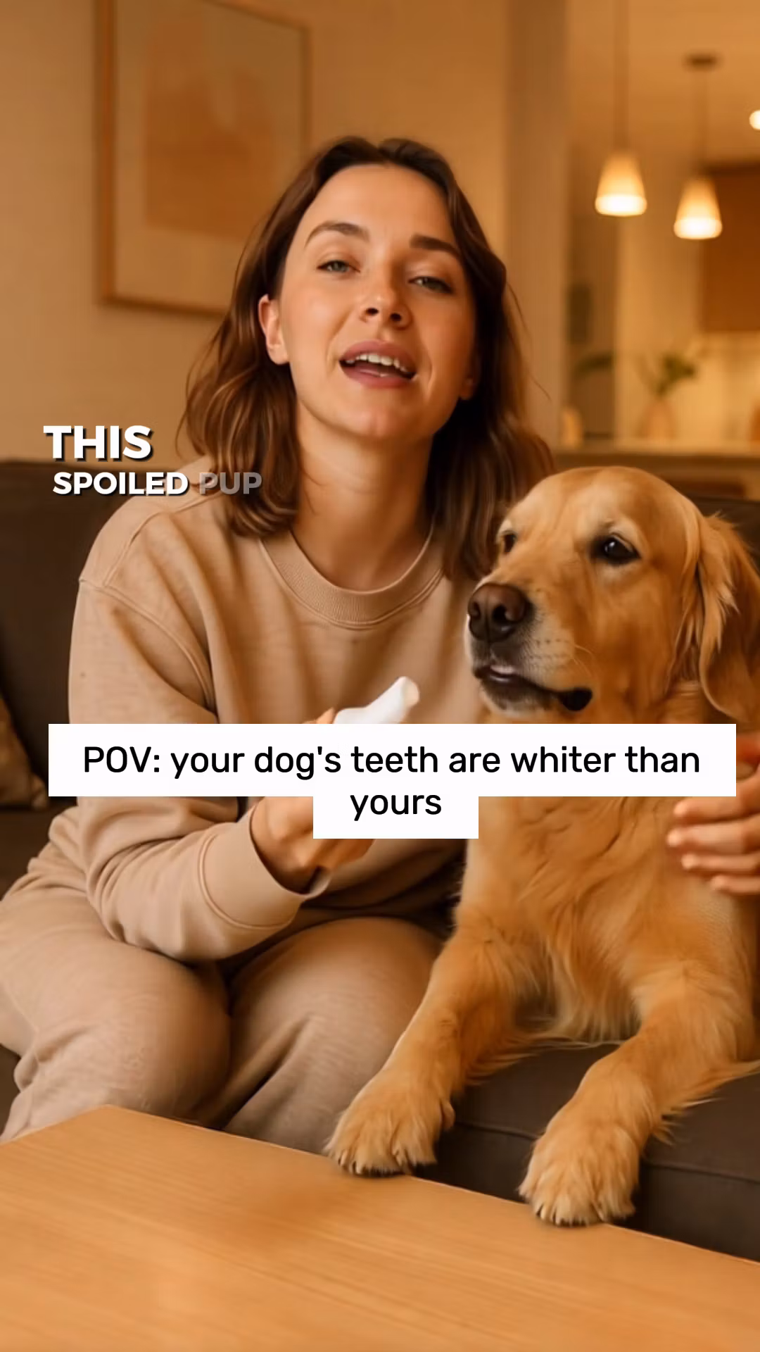 Dog Ear Cleaner Wipes