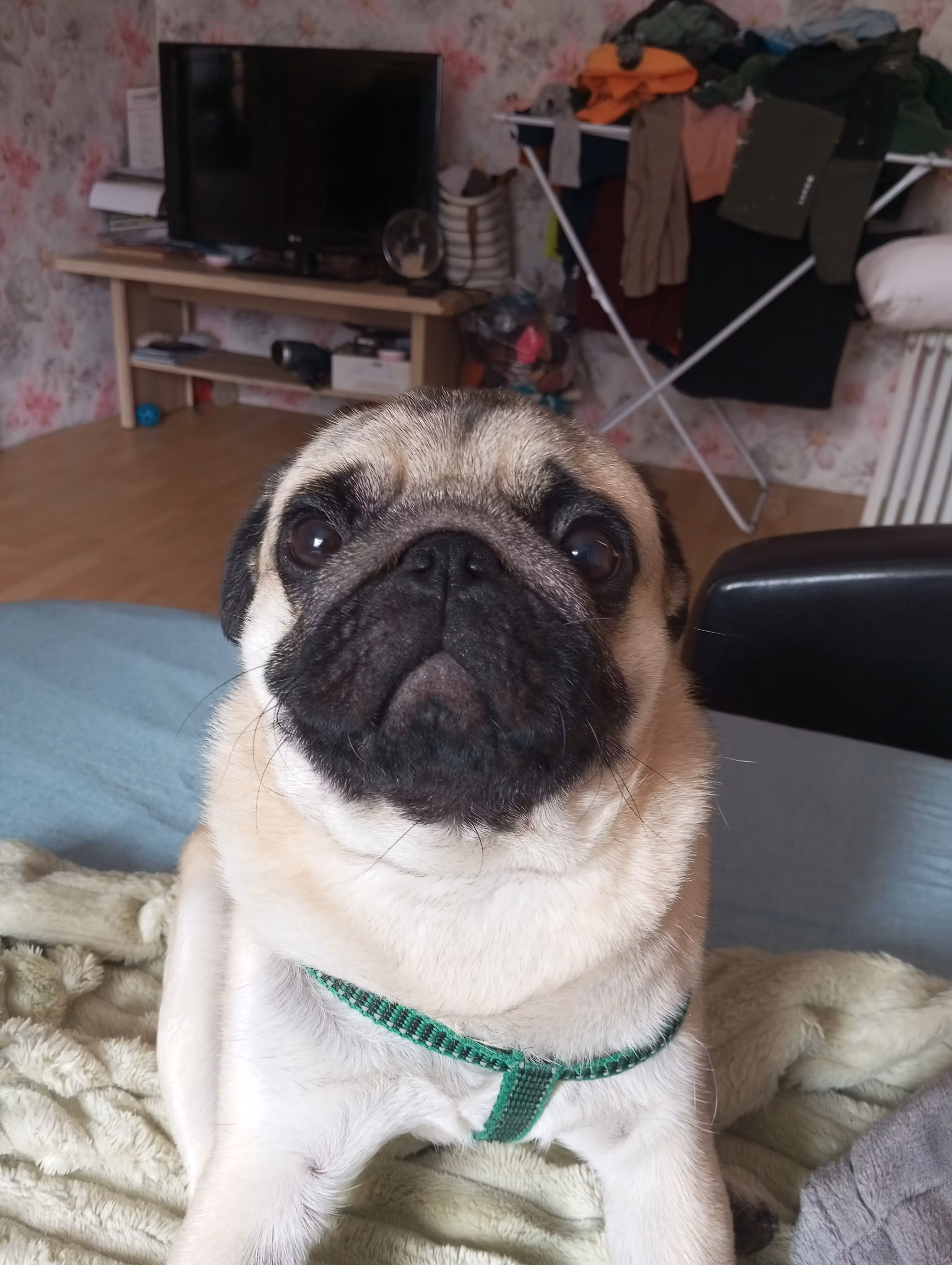 mike_oks_long's whop