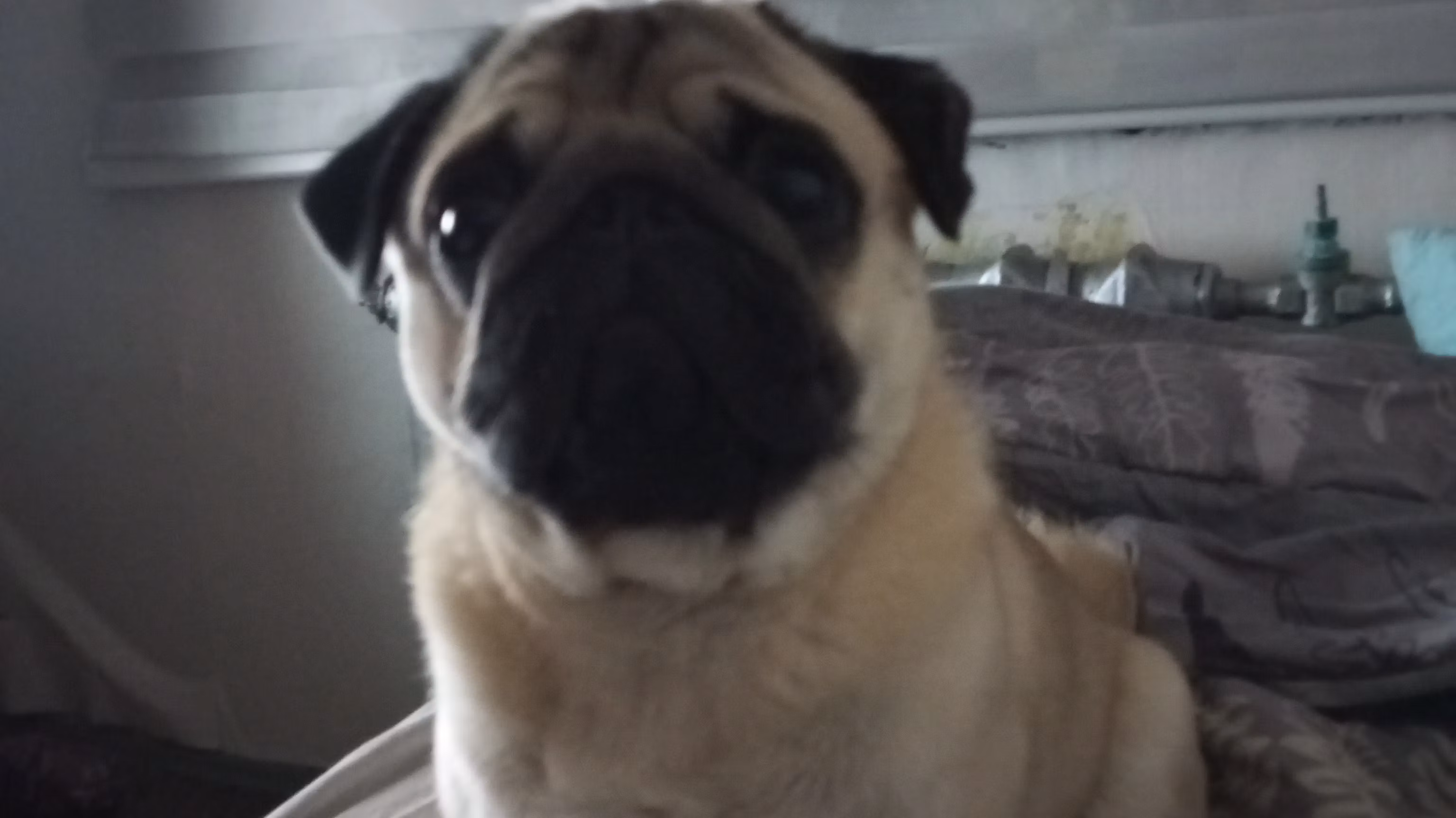 mike_oks_long's whop