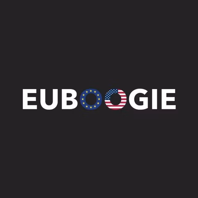 EUBOOGIE MENTORSHIP PROGRAM 