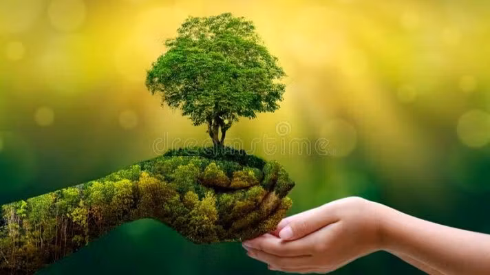 Nature