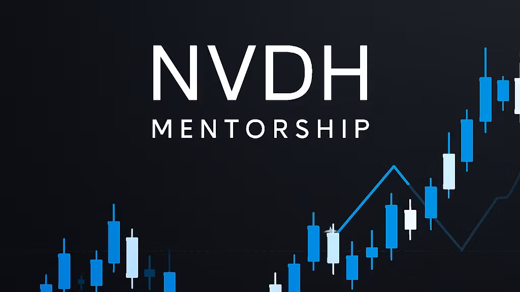 NVDH Mentorship
