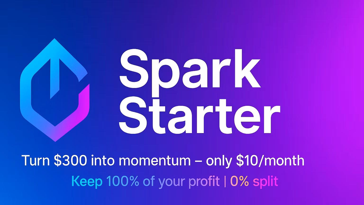 Spark Starter : 300$ to 1000$