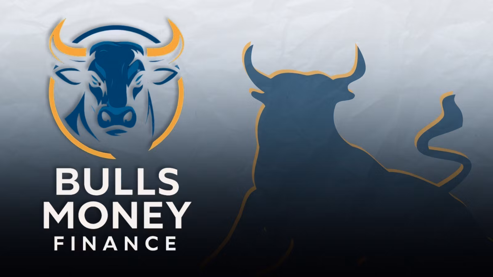 Bulls Money Finance
