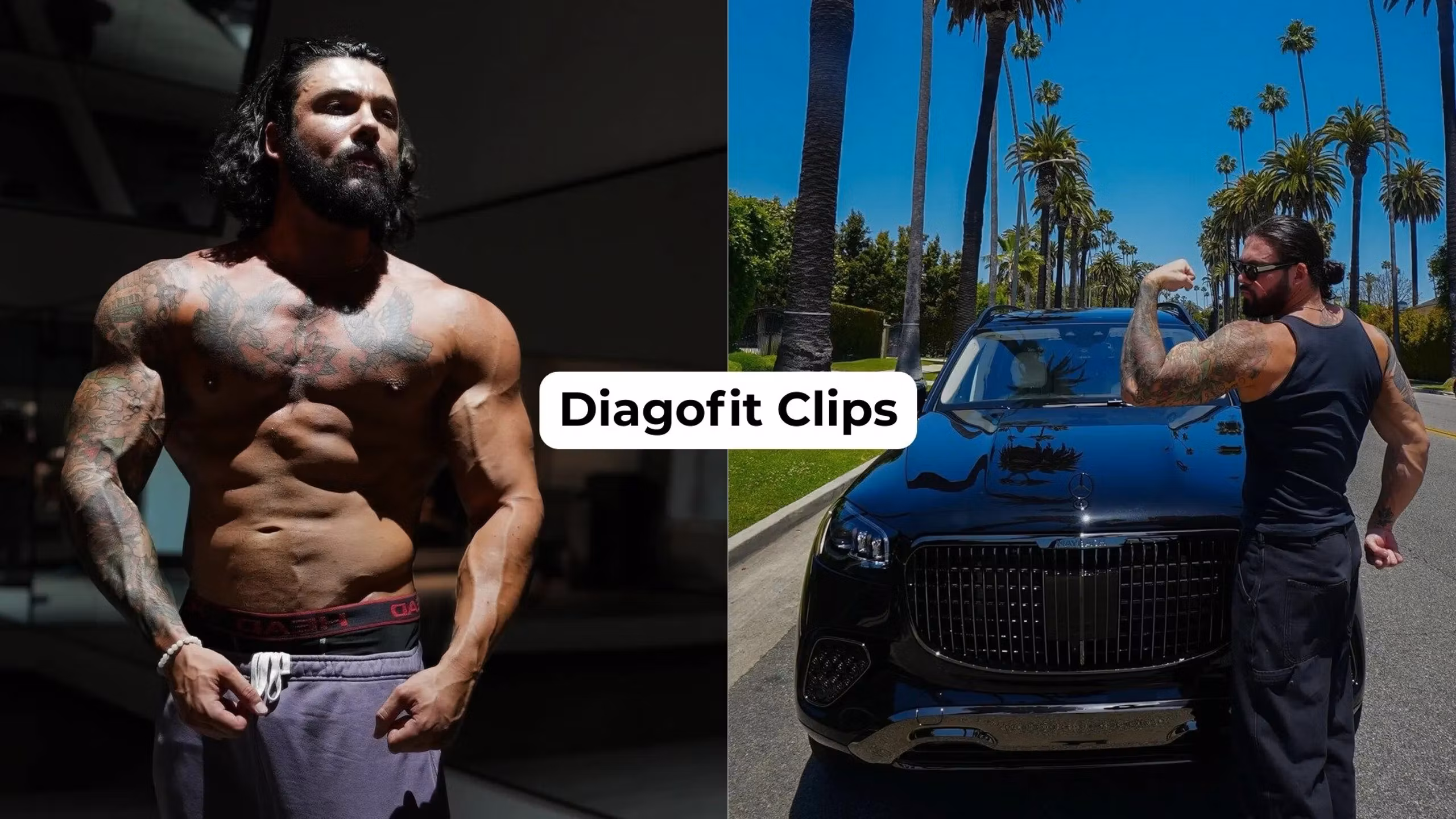 Diagofit Elite Clips