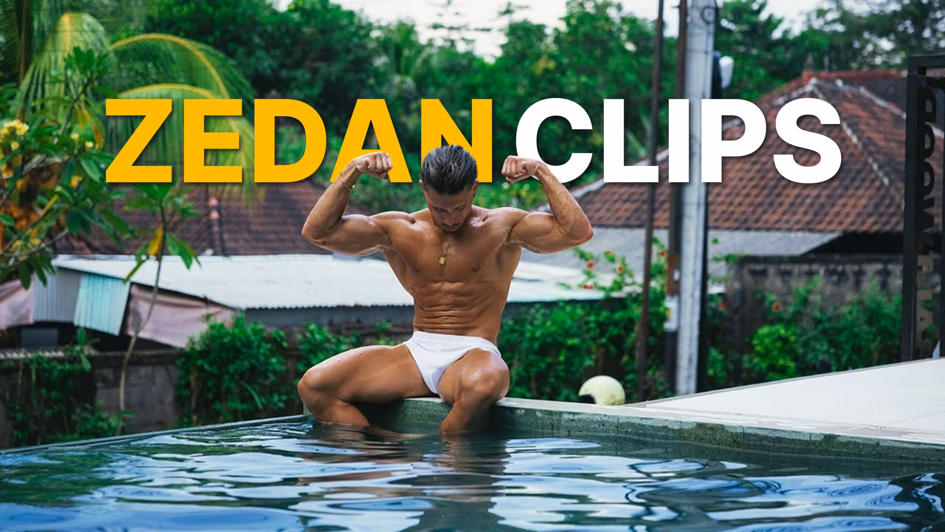 Zedan Mutlu Clipping