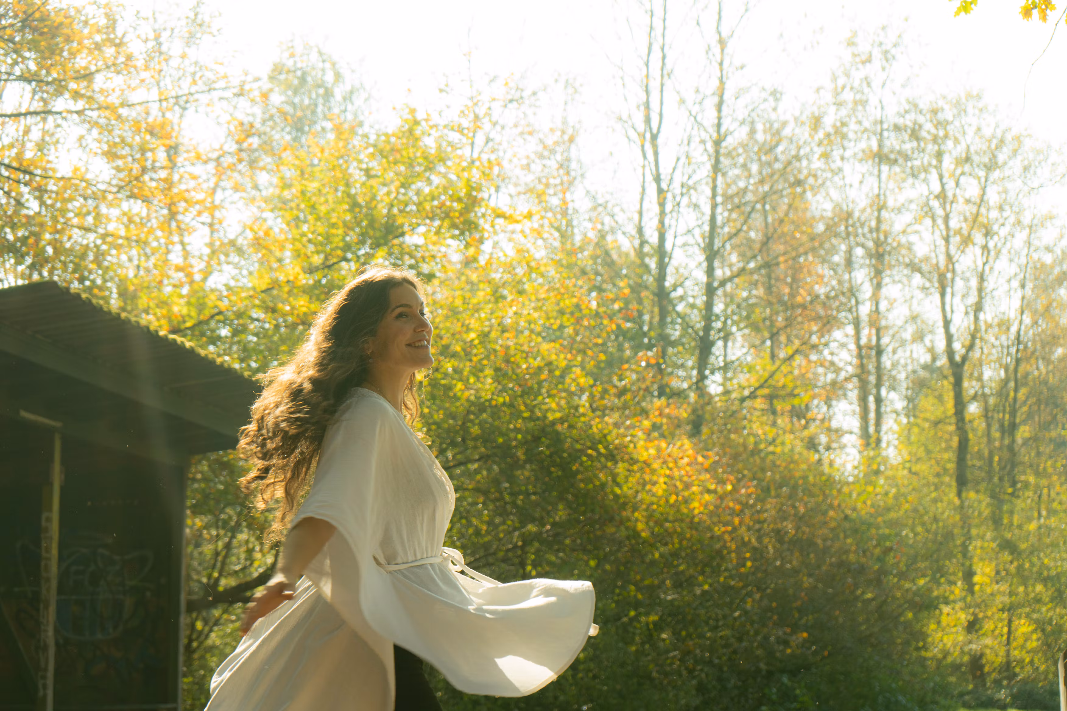 The 33 Magic Healing Portal