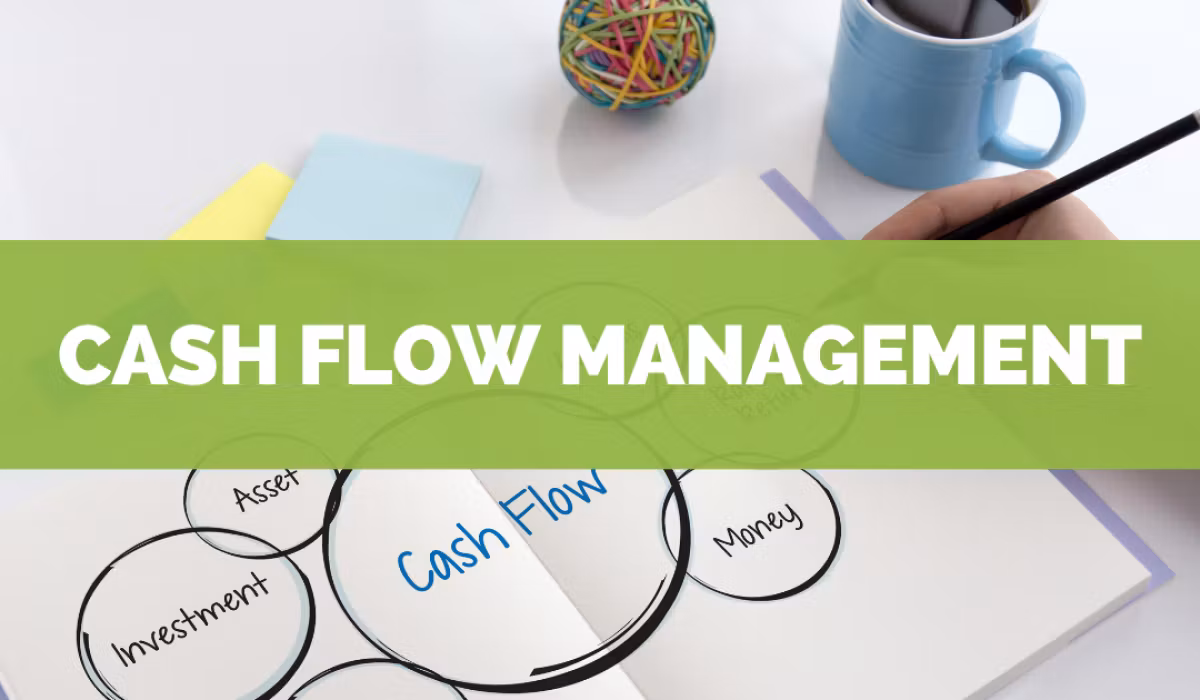 Cash Flow Mastry: The Guide