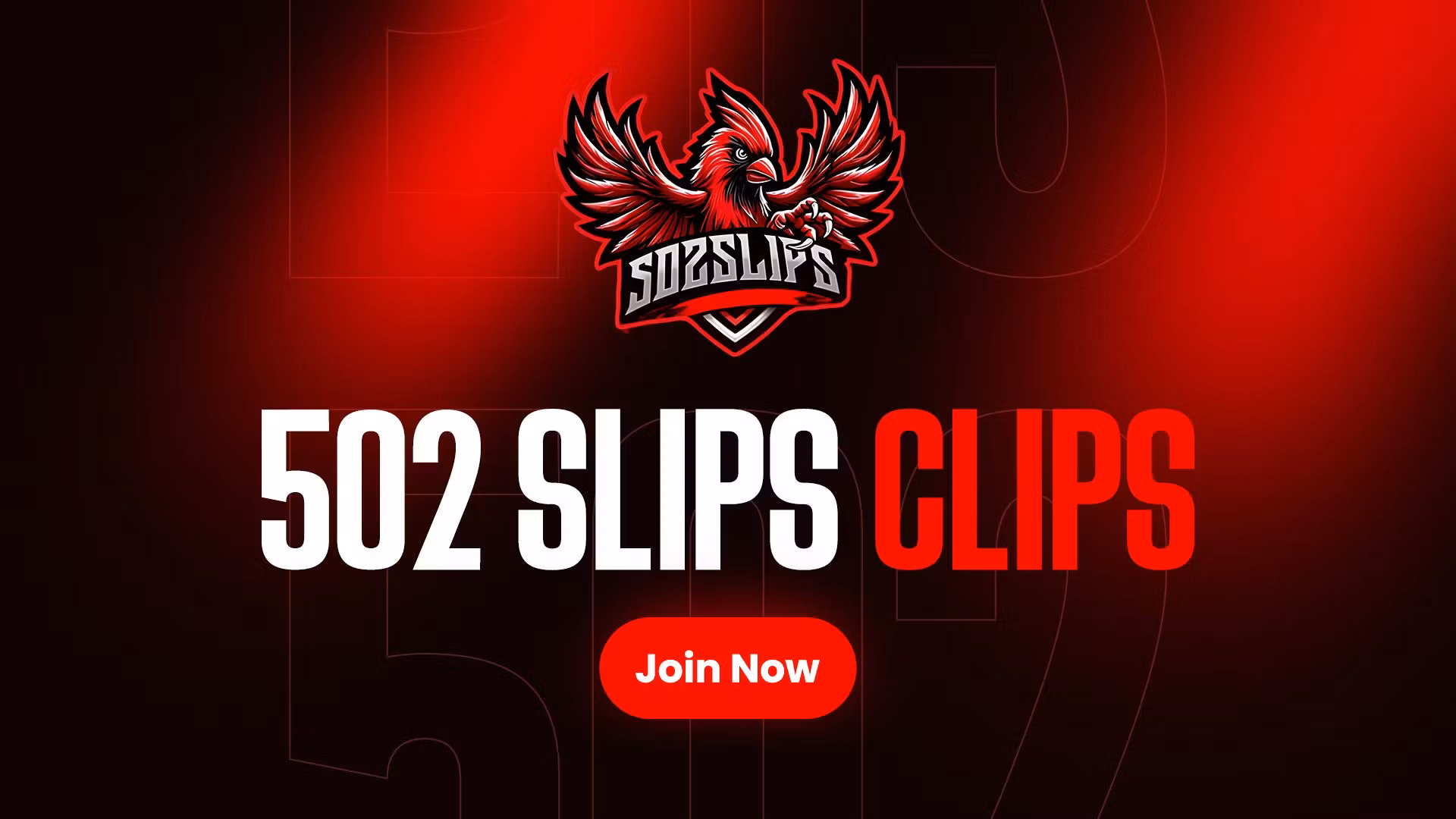 502slips clips!