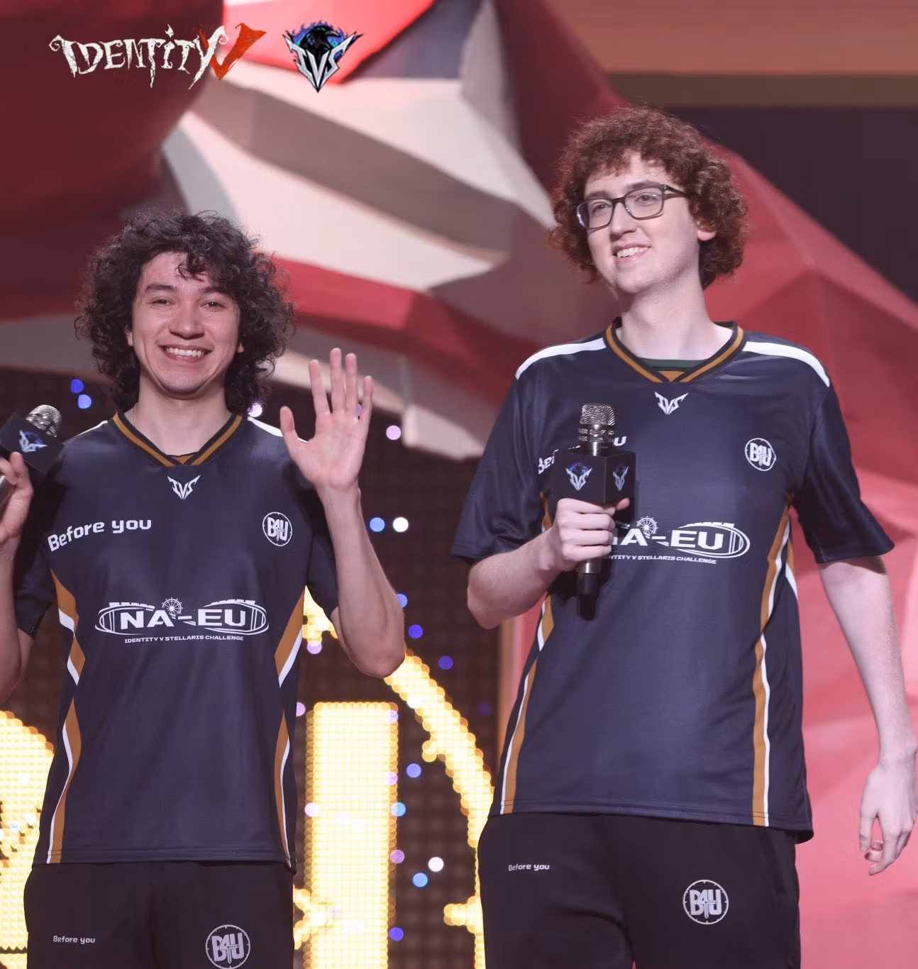 IDV Coaching Discord DMs