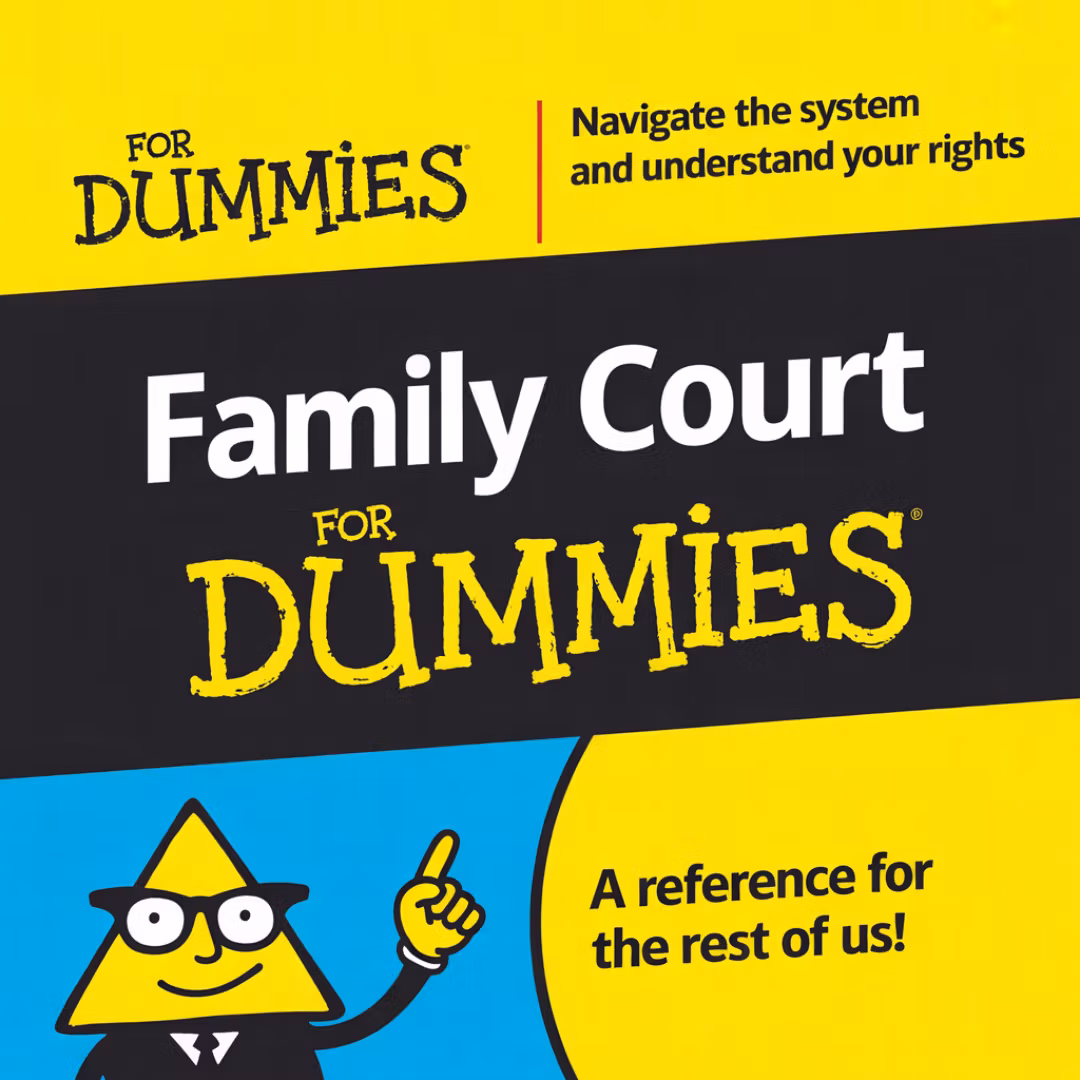 Family Court Survival Guide 