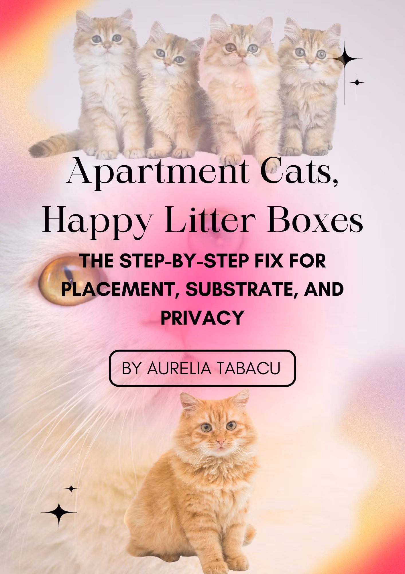 🐾Apartment Cats, Happy Litter