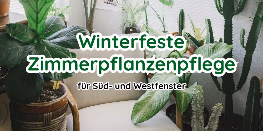 E-Book - Pflanzen im Winter