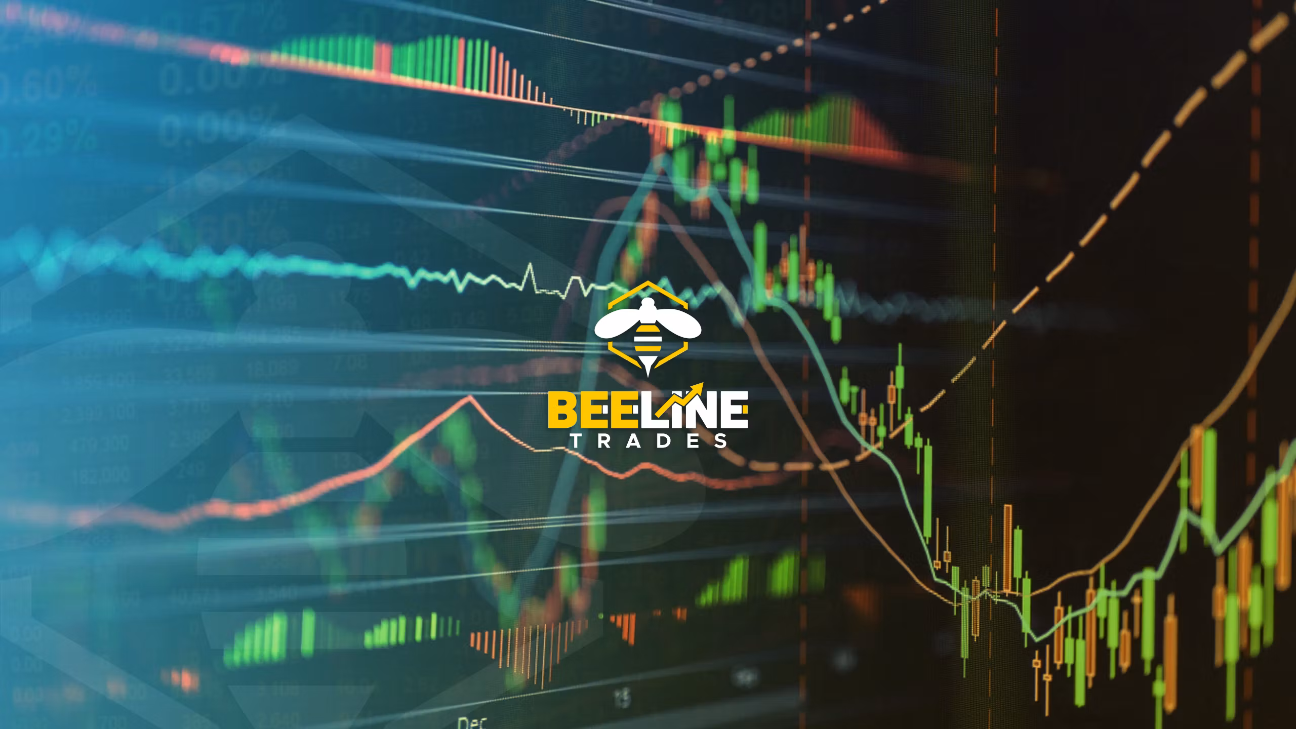 Beeline Collective Free Access