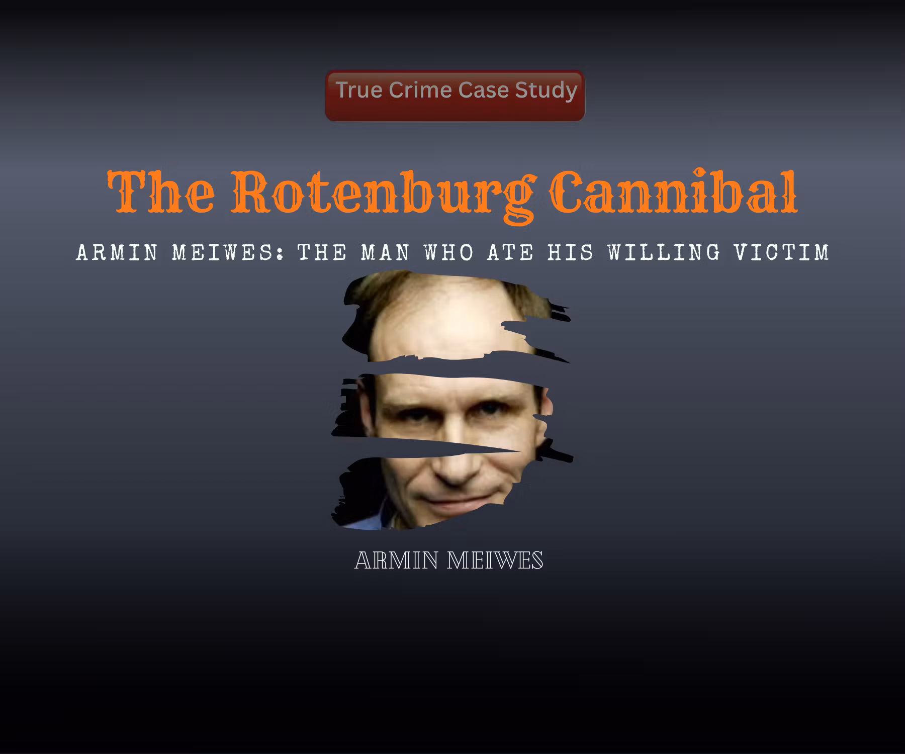 The Butcher of Rotenburg