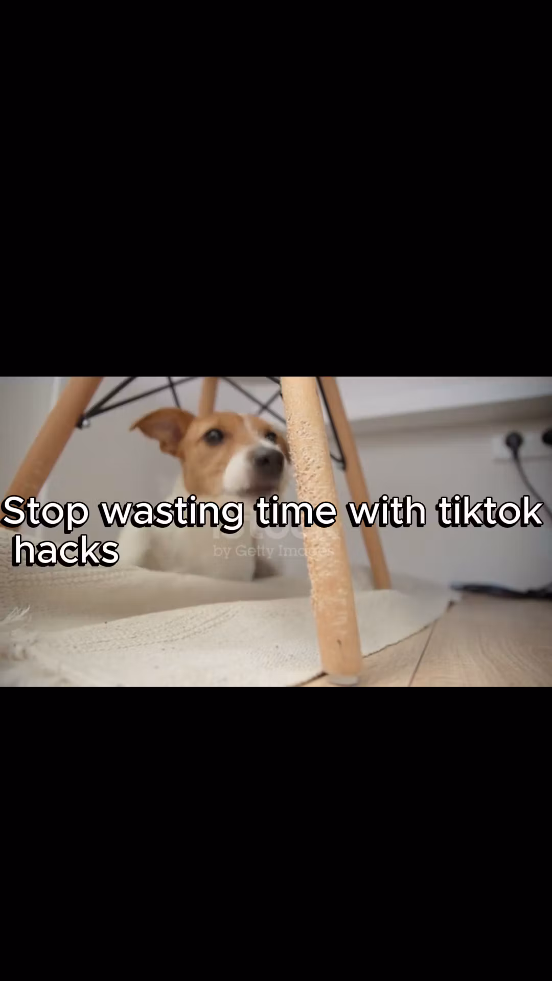 Train Your Dog Right